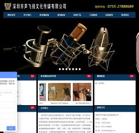 深圳市声飞扬文化传媒有限公司