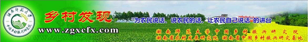 湖南乡村振兴蓝皮书｜娄底市2022年乡村振兴研究报告_三农论剑_乡村发现网